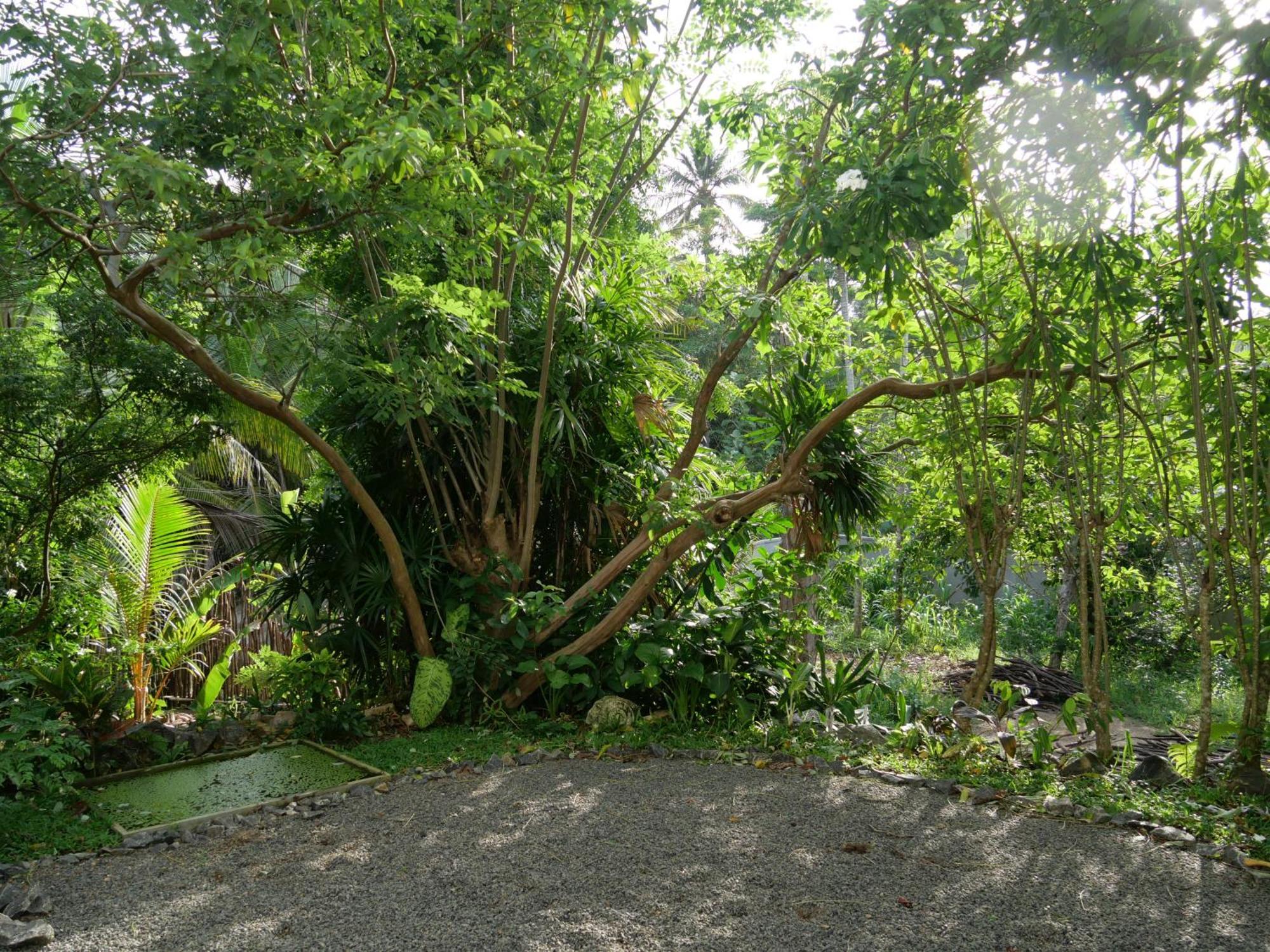 Watu House Hotel Dikwella Bagian luar foto